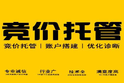 成功案例分享：SEM竞价托管助力企业增长